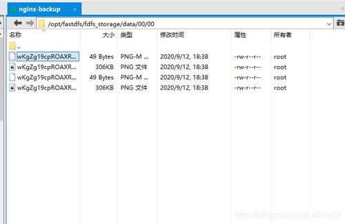 Linux CentOS 7 下搭建外网可访问的 FastDFS 结合 Nginx 图片/文件服务器